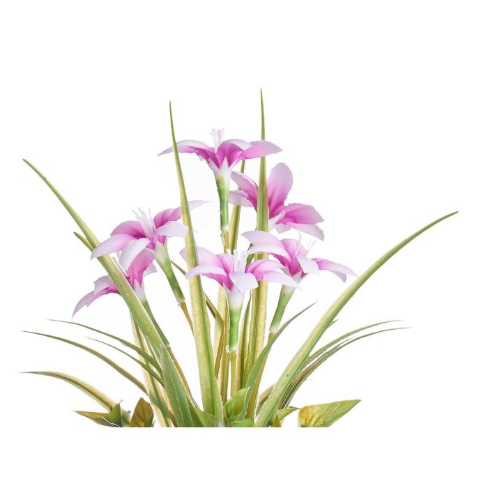 Planta Flor Abierta Peq Bote Metal Surtidos Ibergarden 15X36CM (12 Unidades) 2 Planta Flor Abierta Peq Bote Metal Surtidos Ibergarden 15X36CM (12 Unidades) 2