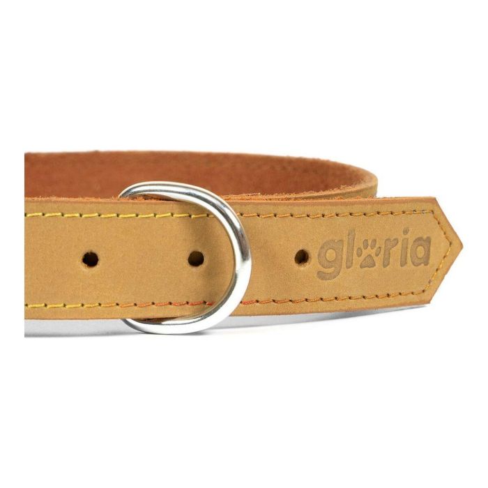 Gloria Collar Oasis 50 cm X 21 mm Amarillo Piel Nobuck Doble Capa Reforzado