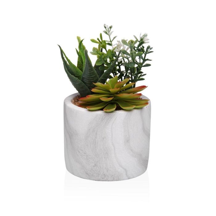 Planta Decorativa Versa Cerámica Plástico Fusion Suculenta 9 x 15 x 9 cm 0 Planta Decorativa Versa Cerámica Plástico Fusion Suculenta 9 x 15 x 9 cm 0