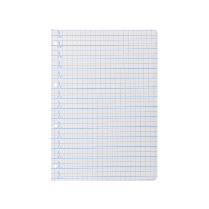 Liderpapel Recambio A4 Pautaguia 100 Hojas 75gr Cuadriculado Pautado 5mm Con Margen 4 Taladros 5
