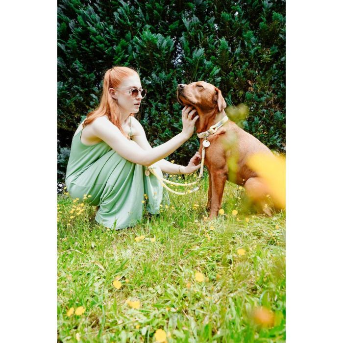 Collar para Perro Hunter Malia Lima 12 40-49 cm 2 Collar para Perro Hunter Malia Lima 12 40-49 cm 2