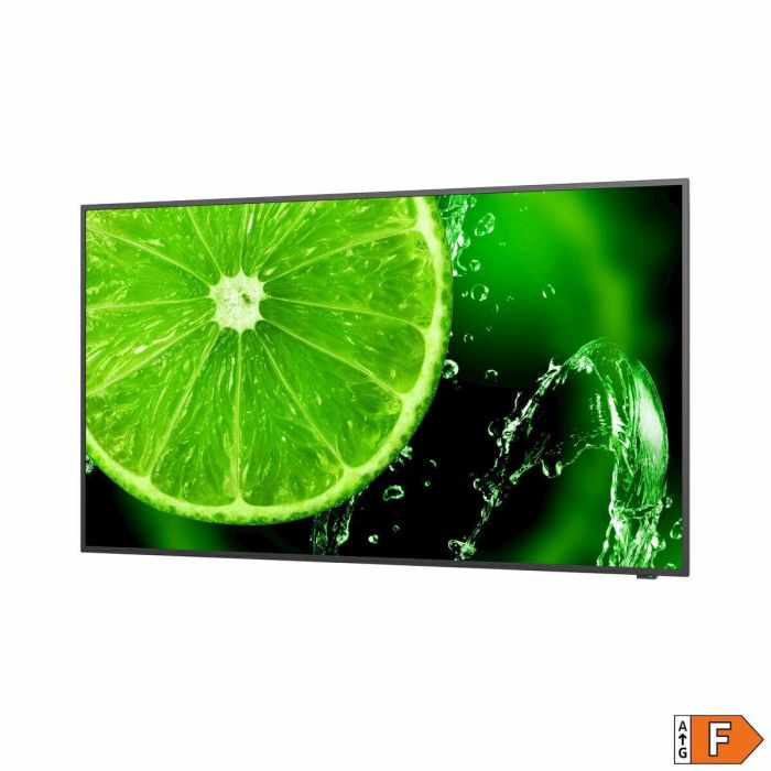 Monitor Videowall NEC 60005059 LED 4K Ultra HD 65" 65" 2 Monitor Videowall NEC 60005059 LED 4K Ultra HD 65" 65" 2