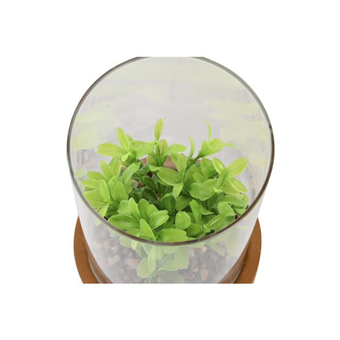 DKD Home Decor Planta 4 Unidades Amarillo Verde 12 x 18 x 12 cm 1