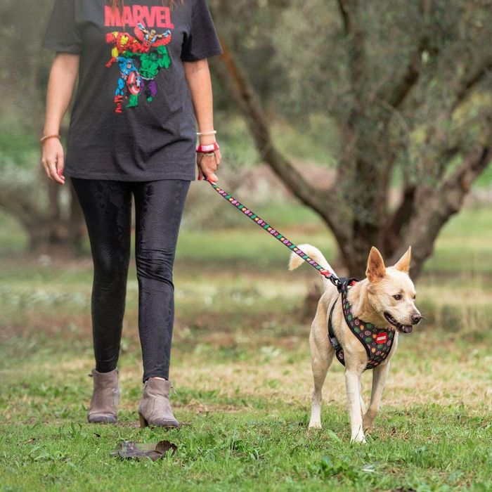 Correa premium para perros s marvel talla s 13 Correa premium para perros s marvel talla s 13