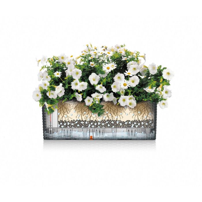 Maceta Lechuza Marrón Negro Polipropileno 4 Maceta Lechuza Marrón Negro Polipropileno 4