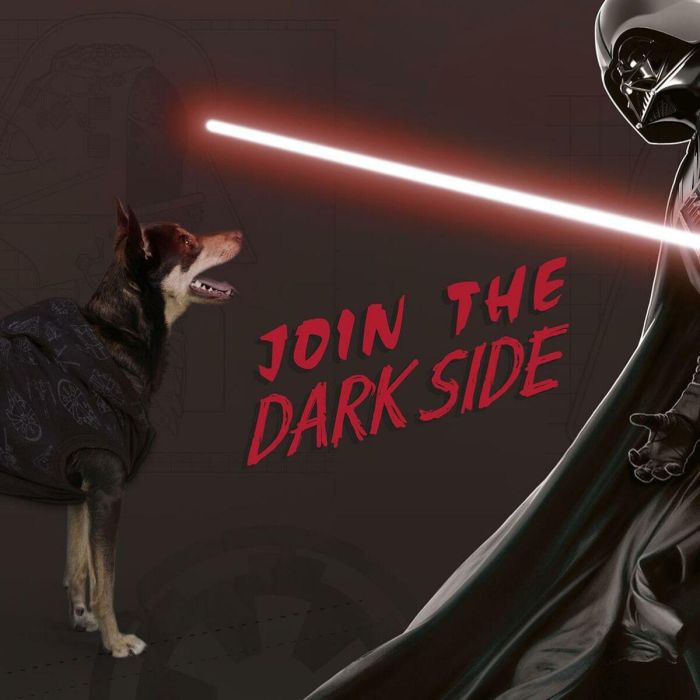 Star Wars Sudadera para Perro con Diseño de Darth Vader, Algodón Cepillado, Color Negro, Talla XXS 12