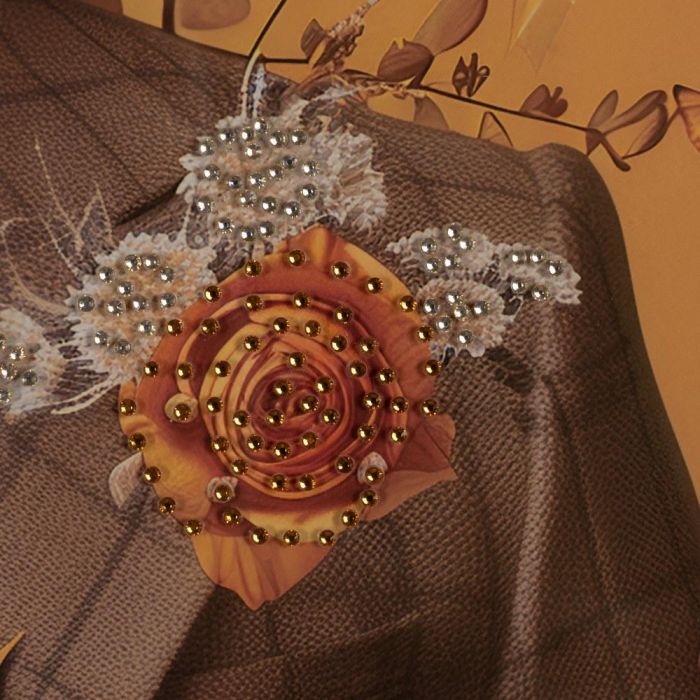 Cuadro Impresión Animales 2/M Cristal 60 X 80 cm