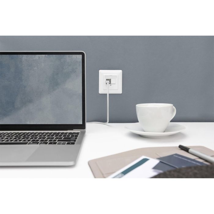 Digitus Panel Frontal Plano para 2 Módulos Keystone RJ45, Cat6a, con Placa Central y Marco, Blanco 1 Digitus Panel Frontal Plano para 2 Módulos Keystone RJ45, Cat6a, con Placa Central y Marco, Blanco 1