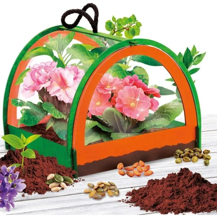 Lisciani Giochi Descubrimiento Botánico - Kit Científico I'M A GENIUS POCKET - Invernadero Miniatura, Experimentos Botánicos LIS8008324105007 1
