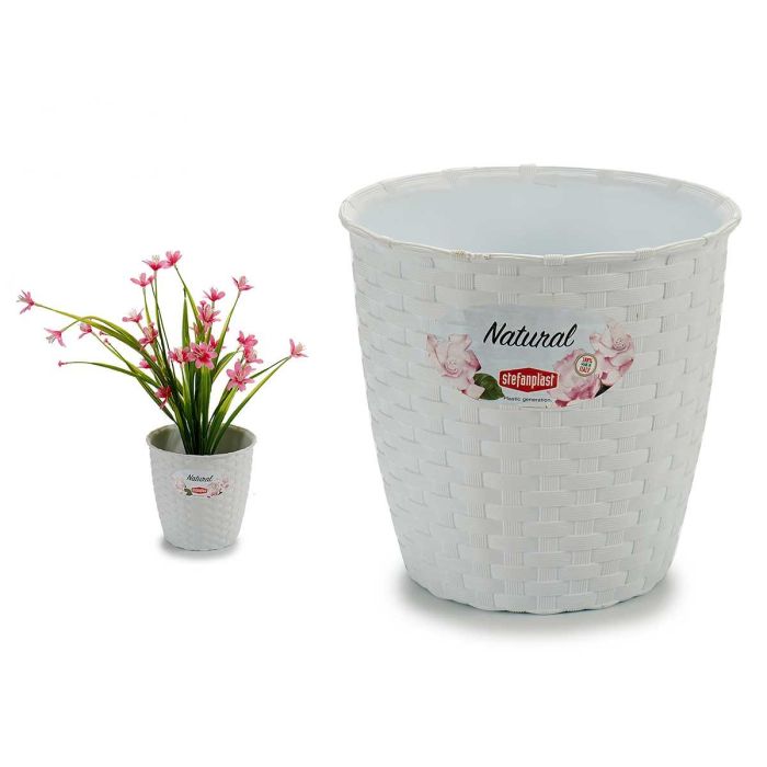 Maceta Natural Stefanplast Blanco 14x13x14 cm (12 Unidades) Maceta Natural Stefanplast Blanco 14x13x14 cm (12 Unidades)