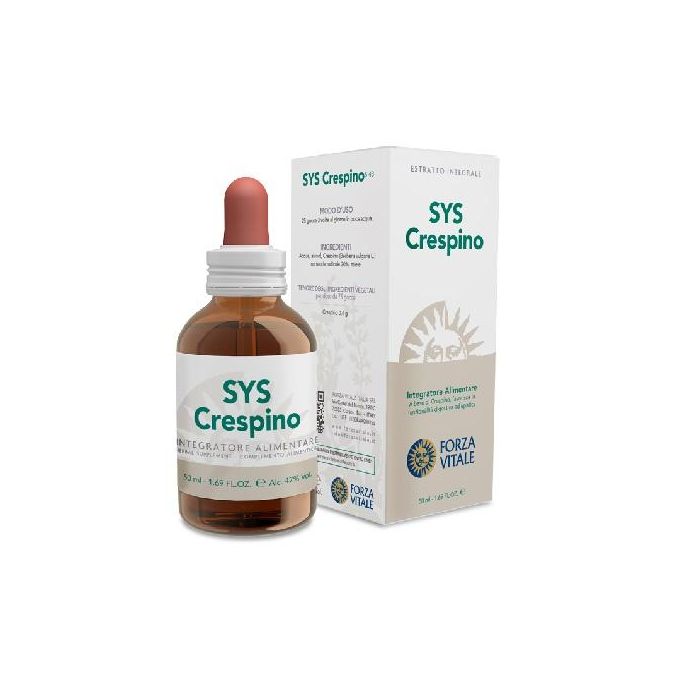 Sys Crespino (Berberis) Sys Crespino (Berberis)