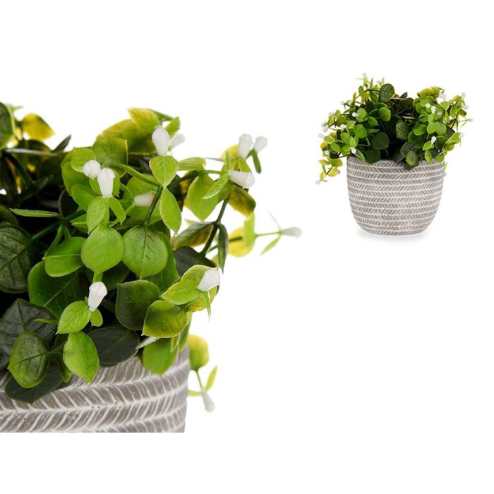 Planta Verde Flor Blanca Con Maceta Gris Ibergarden 20X20CM (8 Unidades) 2 Planta Verde Flor Blanca Con Maceta Gris Ibergarden 20X20CM (8 Unidades) 2