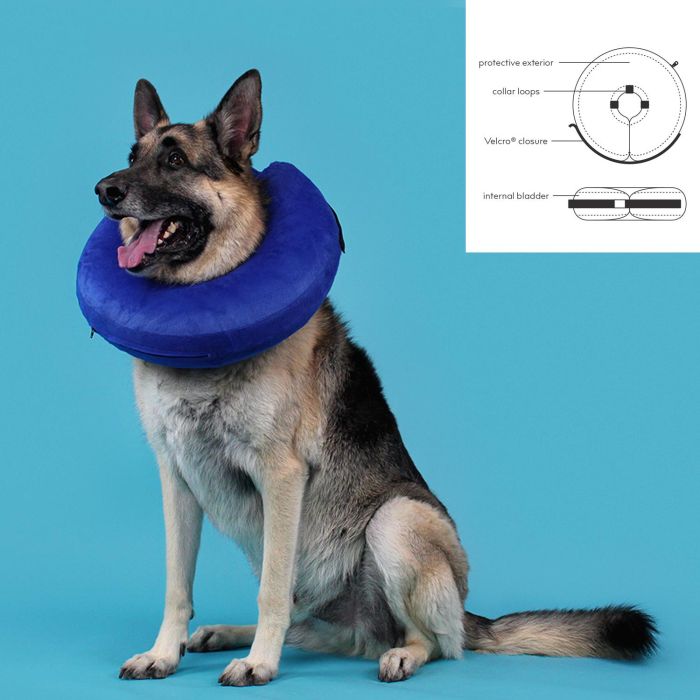 Kong Collar Hinchable Cloud Acolchado para Perros, Circunferencia Cuello A Partir de 46 cm, Azul 2