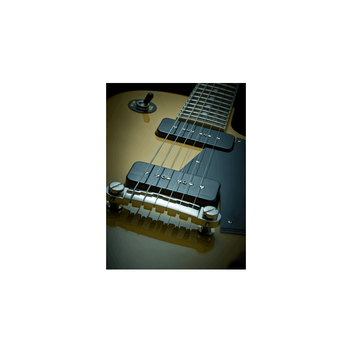 Set 2 Pastillas Fishman Fluence Signature Series Greg Koch P90 - Negra 3