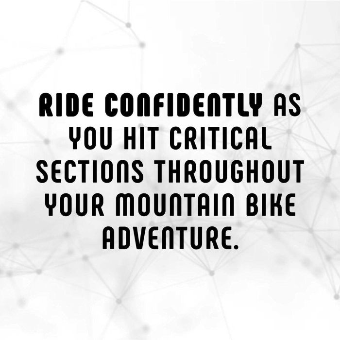 Cubierta Mezcal Vittoria 29x2.25 TLR G2 Negro 3 Cubierta Mezcal Vittoria 29x2.25 TLR G2 Negro 3