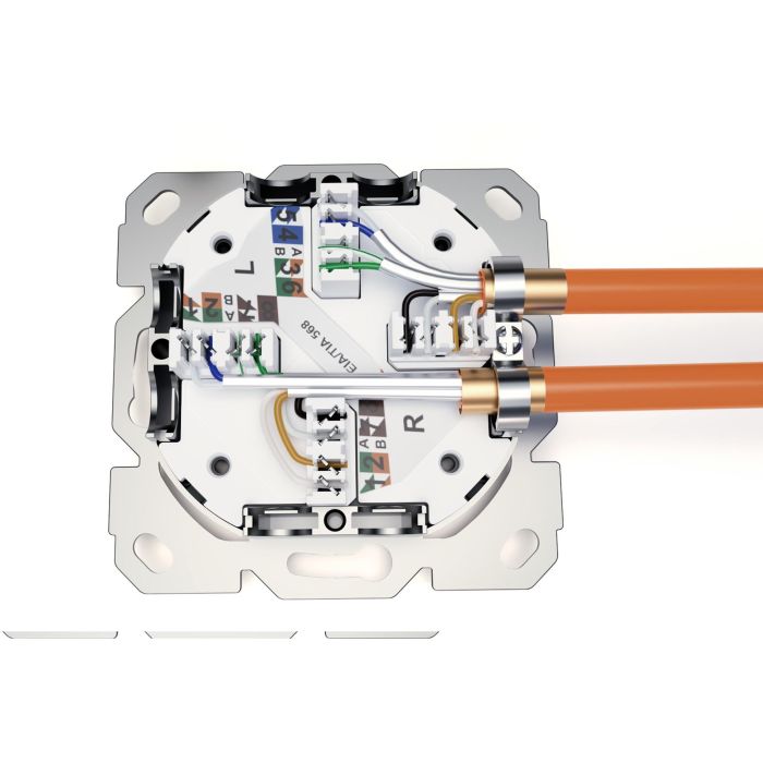 Digitus Toma de Red CAT 6A EA geschirmt 2xRJ45 Blanco 5