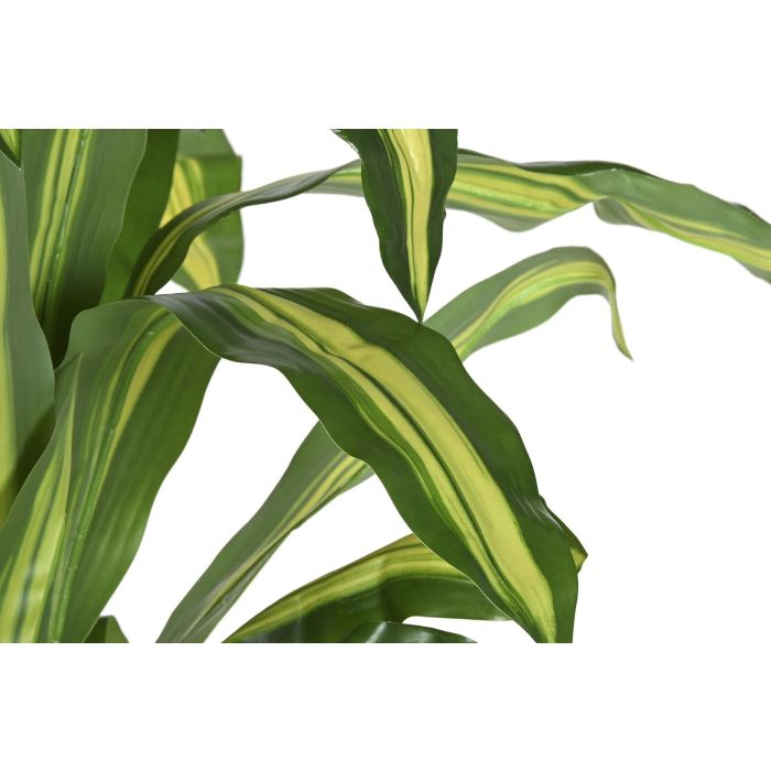 Planta DKD Home Decor Verde 80 x 150 x 80 cm (2 Unidades) 1 Planta DKD Home Decor Verde 80 x 150 x 80 cm (2 Unidades) 1