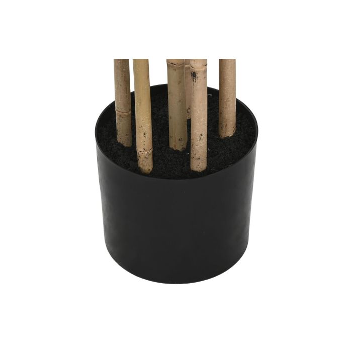 Planta Oriental DKD Home Decor Verde Natural 50 x 210 x 50 cm (2 Unidades) 3