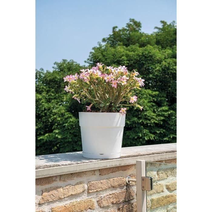 Maceta - DEROMA - Vaso Save R - 58L - 48cm - Blanco 1 Maceta - DEROMA - Vaso Save R - 58L - 48cm - Blanco 1