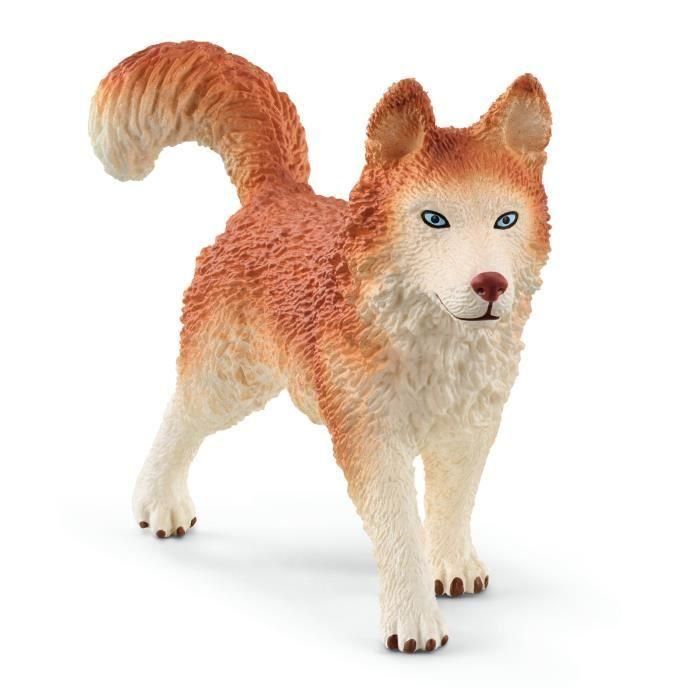 Caja de expedición antártica, figuras de animales salvajes, Schleich 42558 Vida salvaje, Para niños a partir de 3 años 2 Caja de expedición antártica, figuras de animales salvajes, Schleich 42558 Vida salvaje, Para niños a partir de 3 años 2