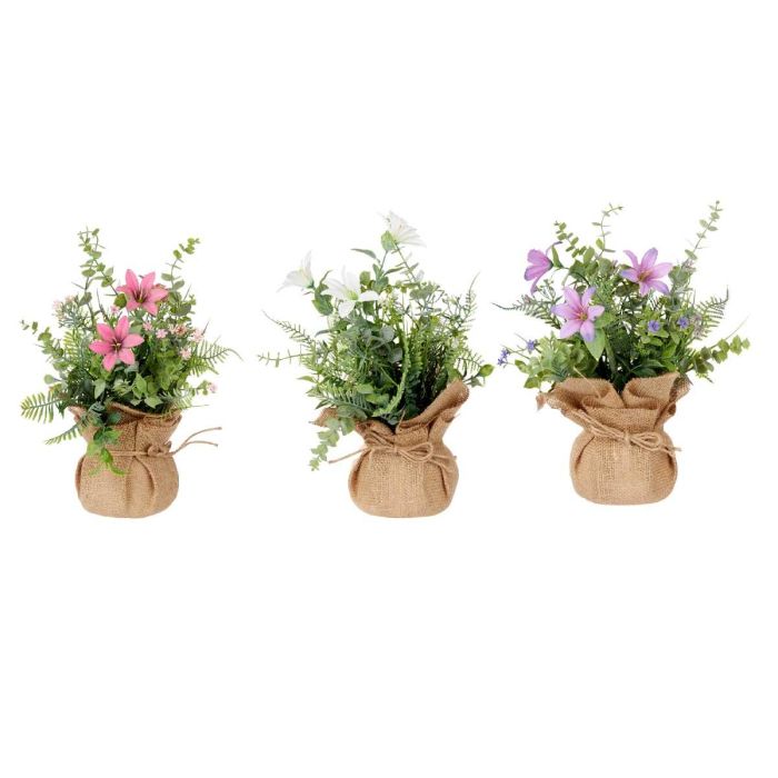 Planta Saco Flores Grande Surtidos Colores Ibergarden 15X32CM (12 Unidades) 1 Planta Saco Flores Grande Surtidos Colores Ibergarden 15X32CM (12 Unidades) 1