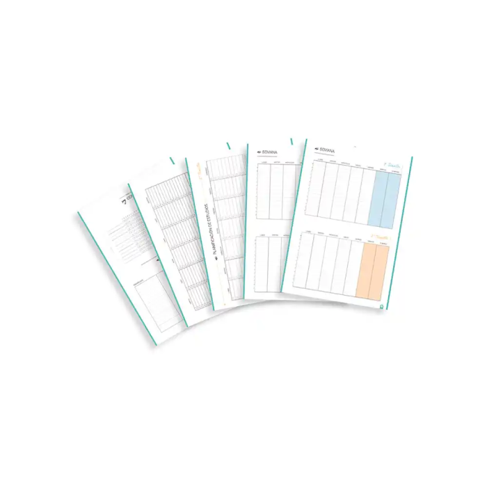 Carpeta de anillas Carchivo Multicolor A4 (8 Unidades) 6