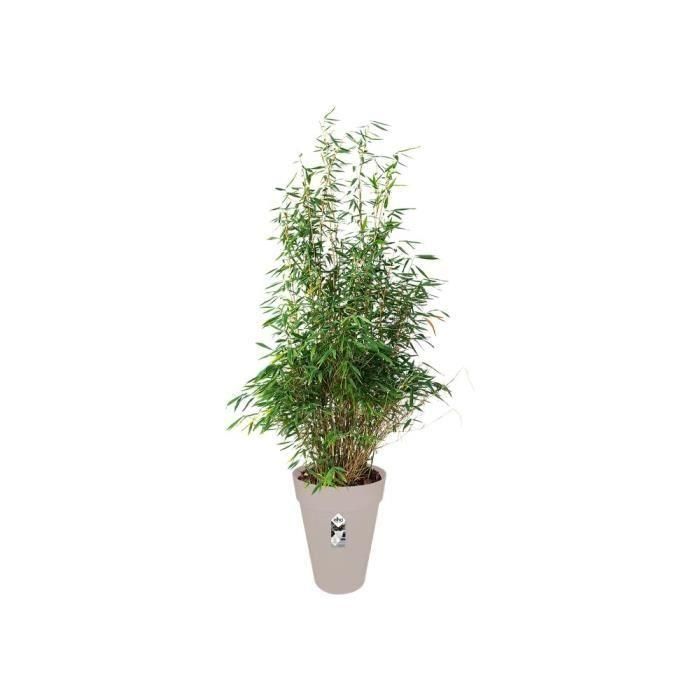 Maceta redonda ELHO Loft Urban Tall 42 - Gris - Ø 42 x H 56 cm - exterior 1 Maceta redonda ELHO Loft Urban Tall 42 - Gris - Ø 42 x H 56 cm - exterior 1