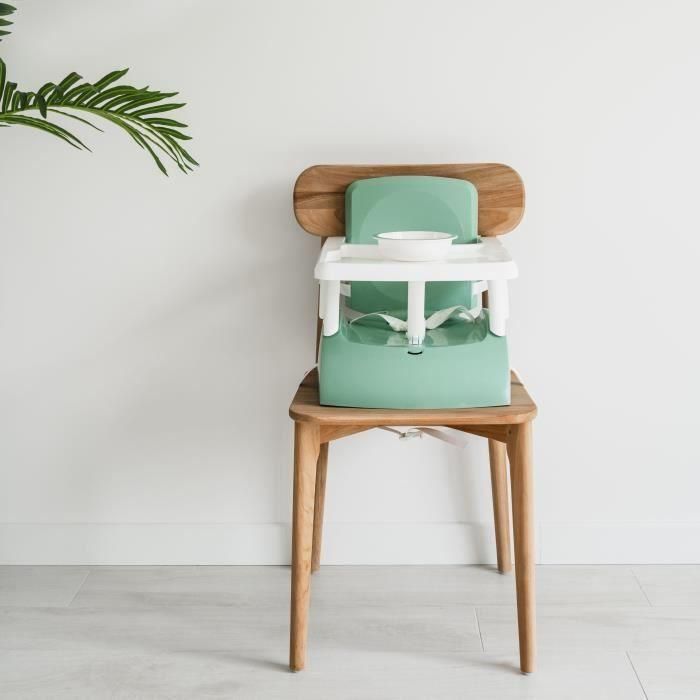 Asiento elevador - THERMOBABY - GUSTO 2 en 1 - Verde salvia - Escalable y transportable 2 Asiento elevador - THERMOBABY - GUSTO 2 en 1 - Verde salvia - Escalable y transportable 2