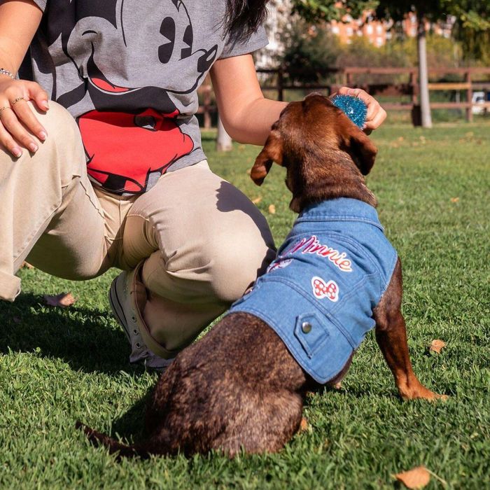 Chaqueta vaquera para perros m minnie talla m 5 Chaqueta vaquera para perros m minnie talla m 5