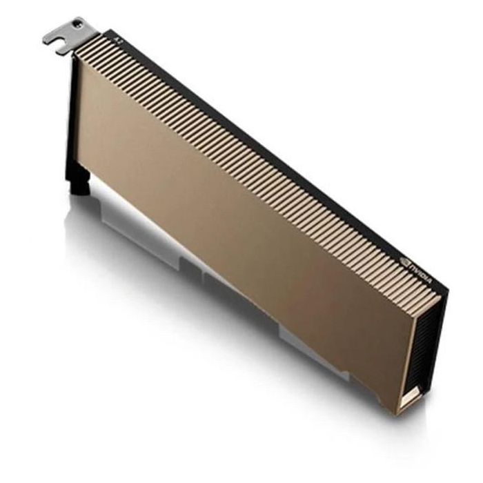 NVIDIA A2 GPU - Procesador de cálculo 16 GB GDDR6 pasivo