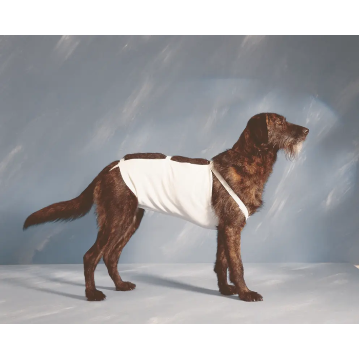 Covetrus Vendaje Abdominal Talla 4 49 cm Venda Elástica Ajustable para Protección de Heridas Post-cirugía Animales Lavable 1Ud