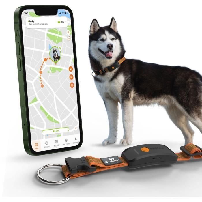Weenect WEE3770000300789 Collar GPS para Perros Dog XT Resistente al Agua Antena XL Naranja con Suscripción Incluye Collar Julius-K9 1