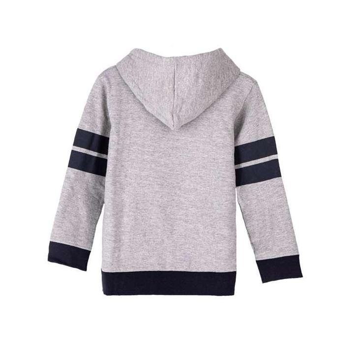 Sudadera con Capucha Niño Harry Potter Gris 12 Años 1