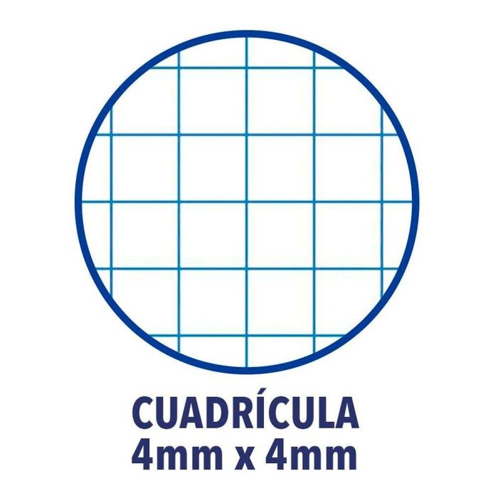 Enri Cuaderno Tapa Blanda Espiral DIN A5 Cuadriculado 4x4mm Colores Surtidos 15,5x21,5cm Enri Cuaderno Tapa Blanda Espiral DIN A5 Cuadriculado 4x4mm Colores Surtidos 15,5x21,5cm