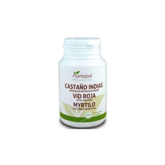 Castaño Indias, Vid, Mirtilo
