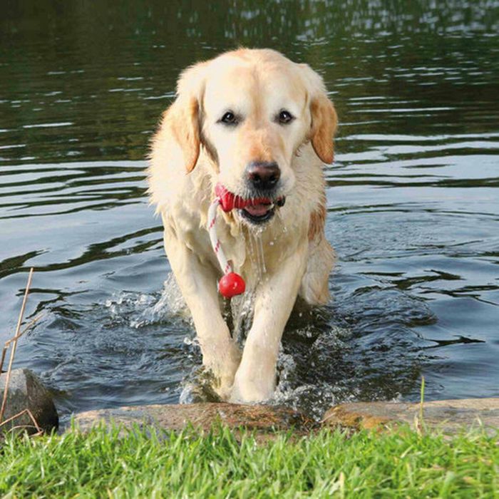 Juguete para perros Trixie 22 cm 1 Juguete para perros Trixie 22 cm 1