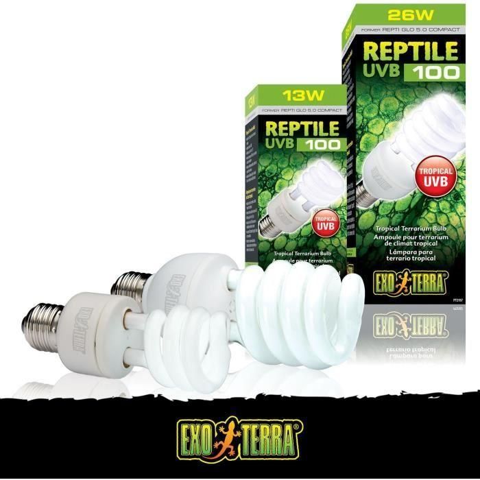 Bombilla fluorescente compacta UVB para terrario - EXO TERRA - Reptile UVB 100 - Clima tropical y subtropical 26W 3 Bombilla fluorescente compacta UVB para terrario - EXO TERRA - Reptile UVB 100 - Clima tropical y subtropical 26W 3
