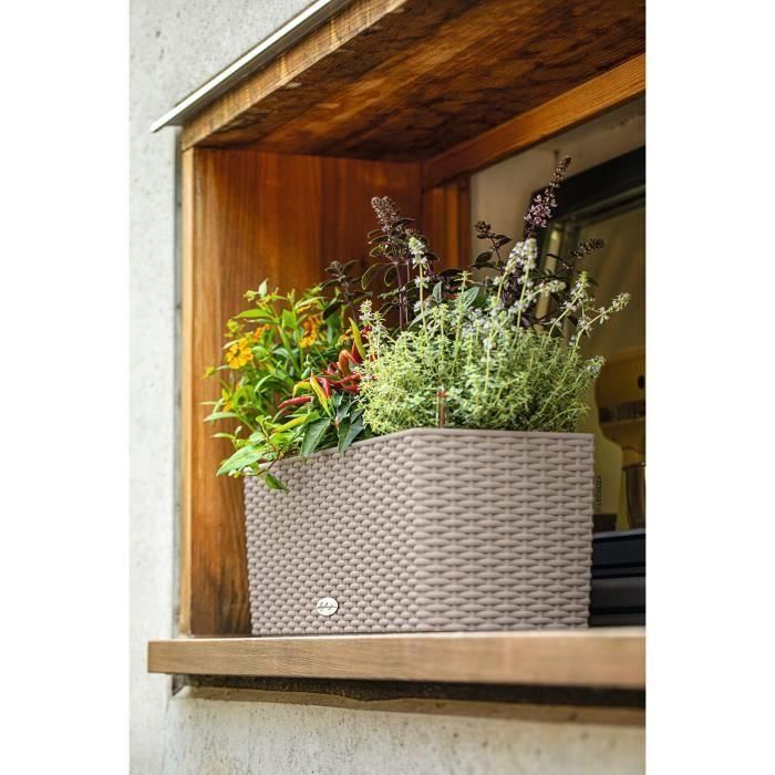 Jardinera - Balconera cottage 50 - Kit completo - Marrón arena - 8 L - LECHUZA 2