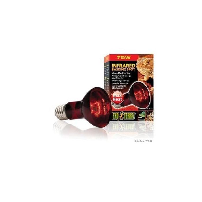 BASKING SPOT lámpara infrarroja 75 W 1 BASKING SPOT lámpara infrarroja 75 W 1