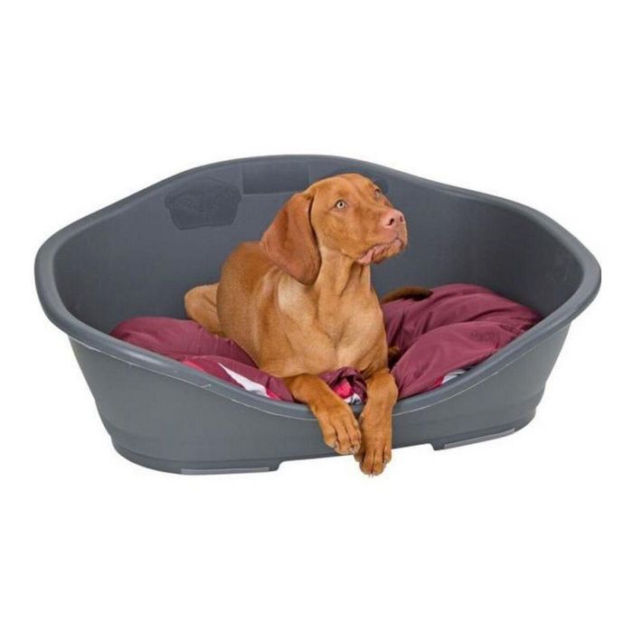 ZOLUX Cesta para Dormir de Plástico, Resistente, con Ranuras de Ventilación, Gris, 65 x 56 x 31 cm para Perro 3