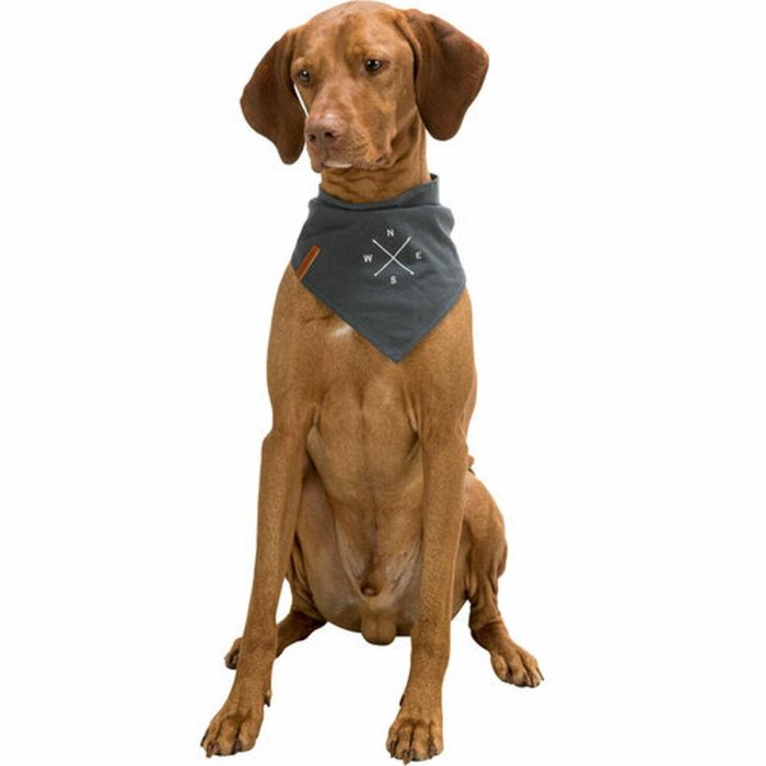 Pañuelo Trixie Perro 4 Pañuelo Trixie Perro 4