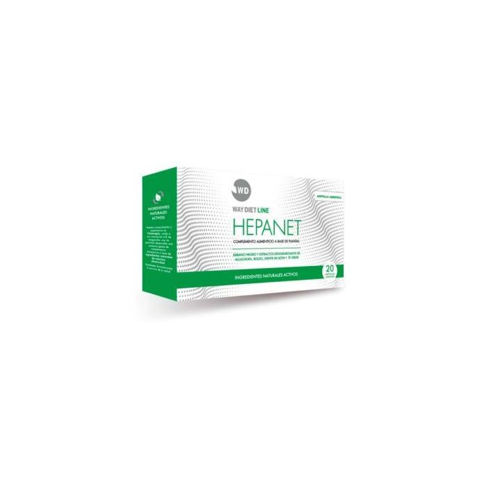 Hepanet 20Amp. Hepanet 20Amp.