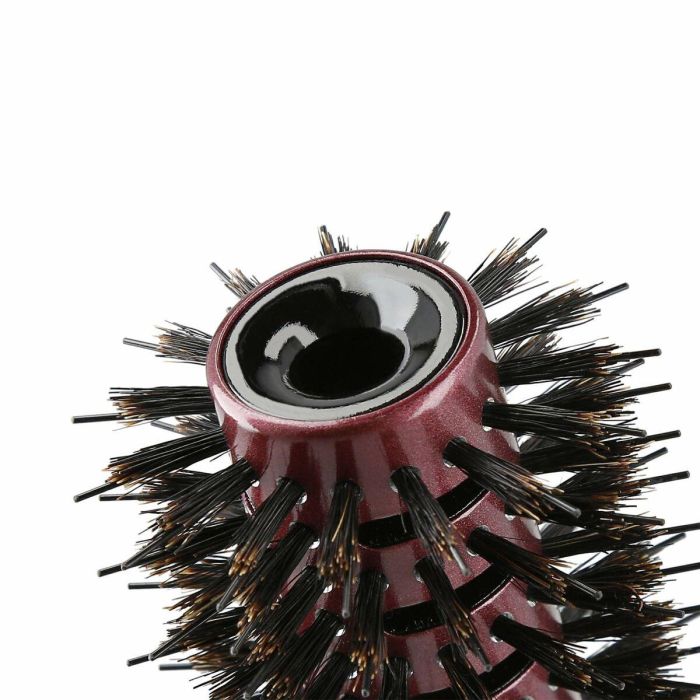 Lussoni Cepillo para Pelo Natural Style 28 mm con Cerdas Mixtas de Jabalí y Nailon, Diseño Ventilado Cerámico para Brillo y Rapidez 1 Lussoni Cepillo para Pelo Natural Style 28 mm con Cerdas Mixtas de Jabalí y Nailon, Diseño Ventilado Cerámico para Brillo y Rapidez 1