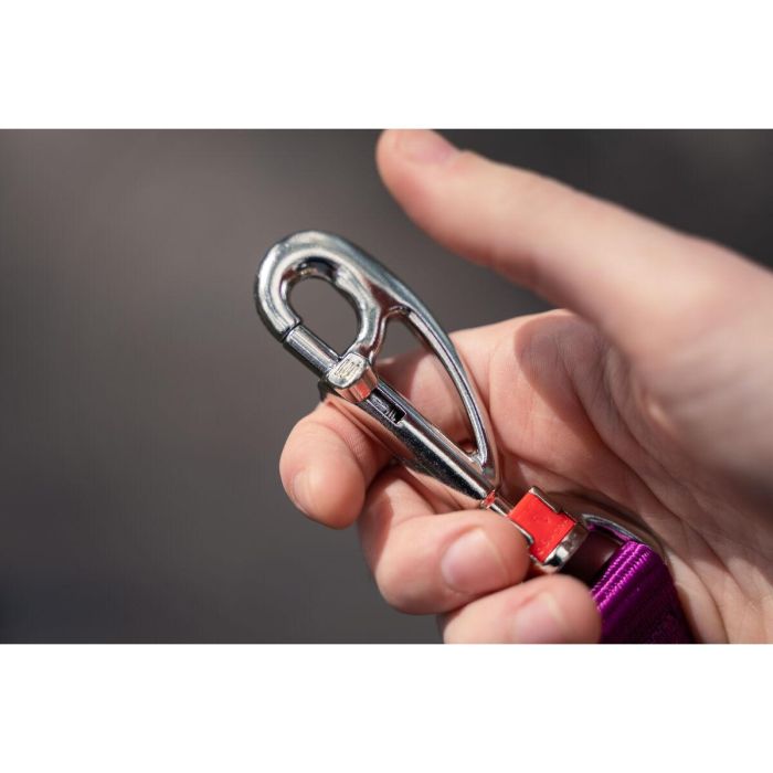 Correa para Perro Red Dingo Negro 4