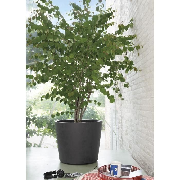 DEROMA 9HB14SZ Maceta Jarrón Millennium R Antracita con reserva de agua y ruedas 59 cm 2