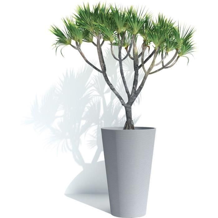 Maceta alta - GARDEN ID - Green Care Sense Tall Blue piedra - 55 cm - 10 años de garantía - 100% reciclado - Resistencia a los rayos UV y a las heladas 2 Maceta alta - GARDEN ID - Green Care Sense Tall Blue piedra - 55 cm - 10 años de garantía - 100% reciclado - Resistencia a los rayos UV y a las heladas 2