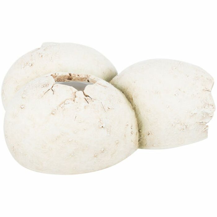 Cueva para reptiles Trixie Blanco 1 Cueva para reptiles Trixie Blanco 1