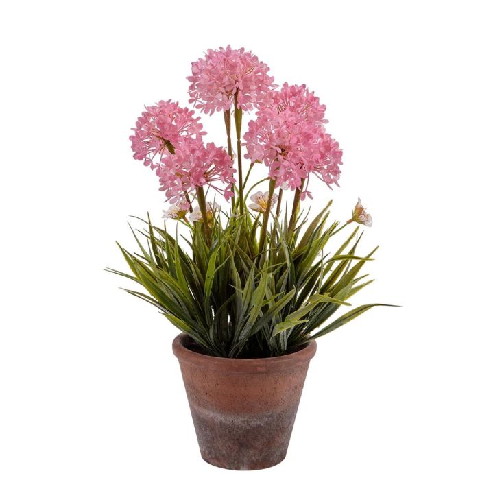 Planta Decorativa Ibergarden 20801 Corcho Cerámica Plástico 24 x 43 x 24 cm (8 Unidades) 2