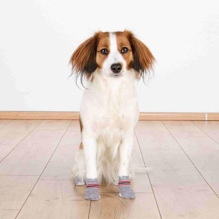 Calcetines Trixie Gris XL Perro 3 Calcetines Trixie Gris XL Perro 3