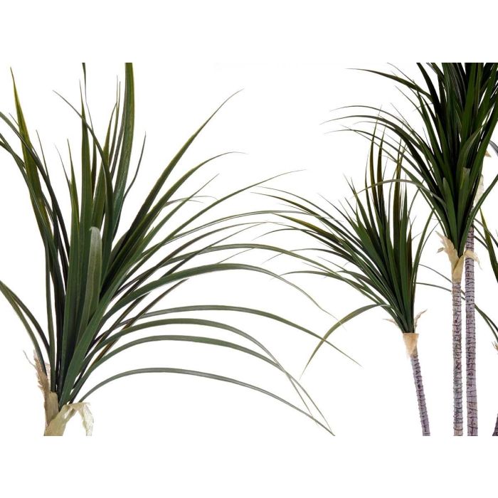 Ibergarden Planta con Maceta Hoja Estrecha Pequeña 140 cm (Alto 140 x Ancho 80 x Largo 85 cm) 2